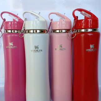 Botella termica de 750ml STANLEY
