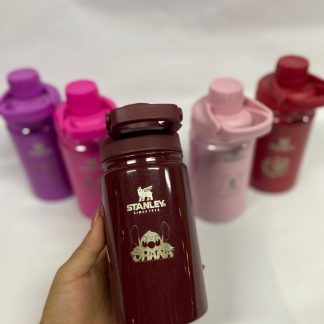 Botella termica con diseños grabados super lindos de dibujos y 350ml