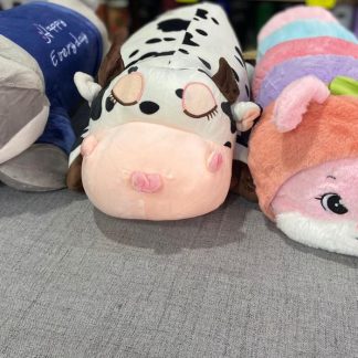 Peluches con manta incluida Diferentes modelitos