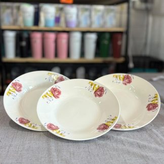 Platos hondos playos de porcelana Docena