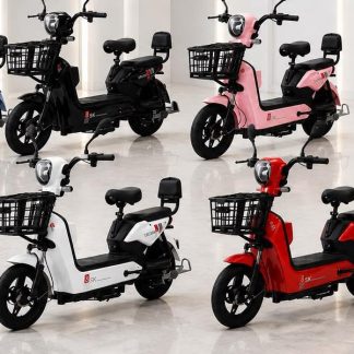 Bici Moto Eléctrica GINSI SK8