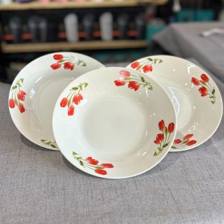 Platos de porcelana 24 cm - Set de 12 unidades