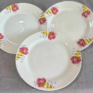 Platos de porcelana 24 cm